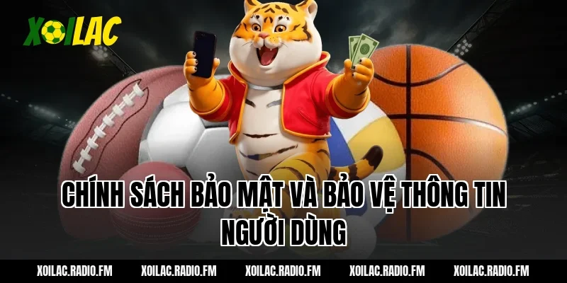 Chính sách bảo mật và bảo vệ thông tin người dùng